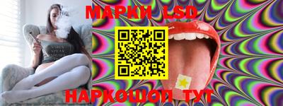СК Кингисепп