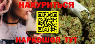 СК Кингисепп