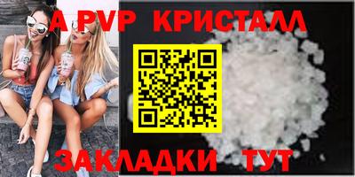 СК Кингисепп