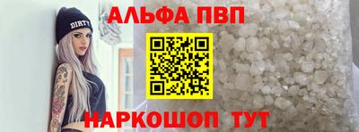 СК Кингисепп