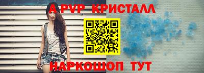СК Кингисепп
