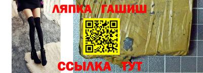 СК Кингисепп