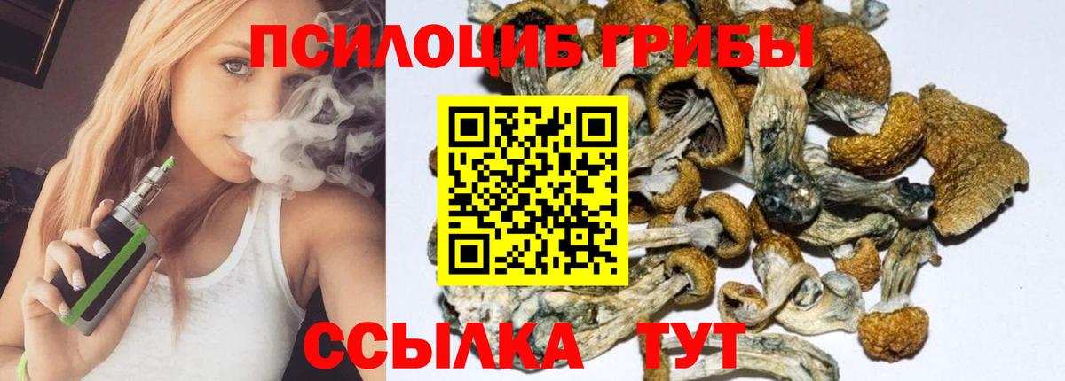 Губкин  Галлюциногенные грибы Magic Shrooms  Вход с VPN 